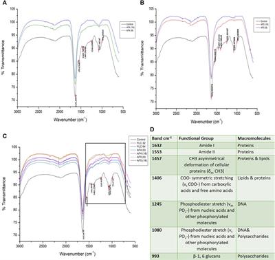 Two promising Bacillus-derived antifungal lipopeptide leads AF4 and AF5 and their combined effect with fluconazole on the in vitro Candida glabrata biofilms